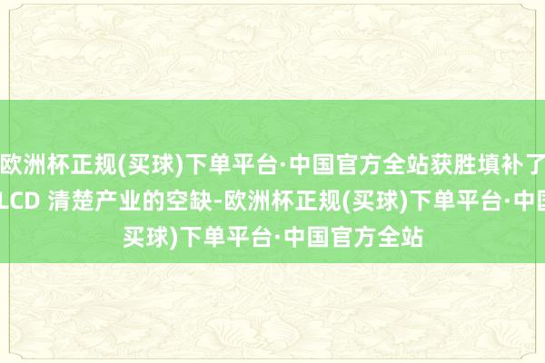 欧洲杯正规(买球)下单平台·中国官方全站获胜填补了国内 TFT-LCD 清楚产业的空缺-欧洲杯正规(买球)下单平台·中国官方全站