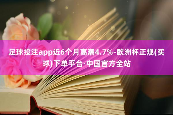 足球投注app近6个月高潮4.7%-欧洲杯正规(买球)下单平台·中国官方全站