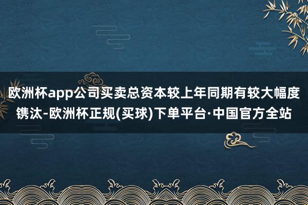 欧洲杯app公司买卖总资本较上年同期有较大幅度镌汰-欧洲杯正规(买球)下单平台·中国官方全站