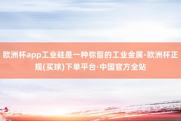 欧洲杯app工业硅是一种弥留的工业金属-欧洲杯正规(买球)下单平台·中国官方全站