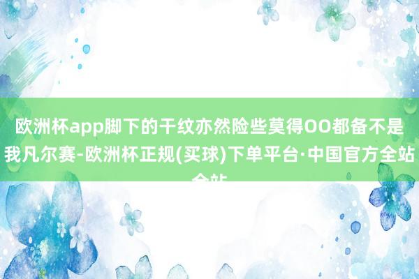 欧洲杯app脚下的干纹亦然险些莫得OO都备不是我凡尔赛-欧洲杯正规(买球)下单平台·中国官方全站