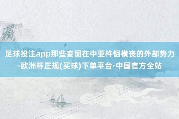足球投注app那些妄图在中亚杵倔横丧的外部势力-欧洲杯正规(买球)下单平台·中国官方全站