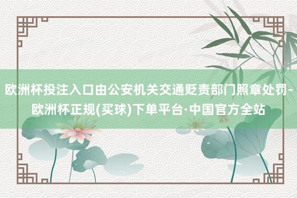 欧洲杯投注入口由公安机关交通贬责部门照章处罚-欧洲杯正规(买球)下单平台·中国官方全站