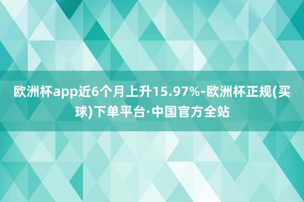 欧洲杯app近6个月上升15.97%-欧洲杯正规(买球)下单平台·中国官方全站