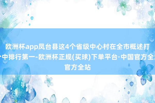 欧洲杯app凤台县这4个省级中心村在全市概述打分中排行第一-欧洲杯正规(买球)下单平台·中国官方全站