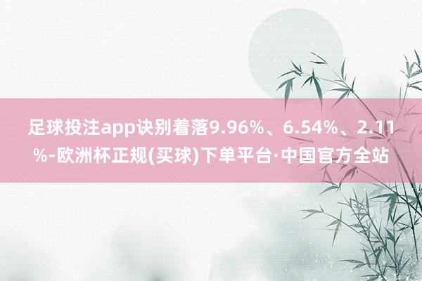 足球投注app诀别着落9.96%、6.54%、2.11%-欧洲杯正规(买球)下单平台·中国官方全站