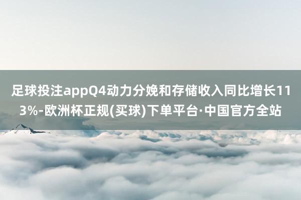 足球投注appQ4动力分娩和存储收入同比增长113%-欧洲杯正规(买球)下单平台·中国官方全站