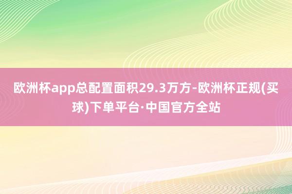 欧洲杯app总配置面积29.3万方-欧洲杯正规(买球)下单平台·中国官方全站