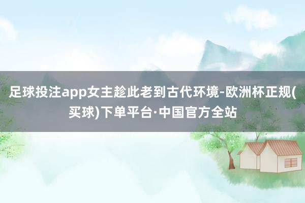 足球投注app女主趁此老到古代环境-欧洲杯正规(买球)下单平台·中国官方全站