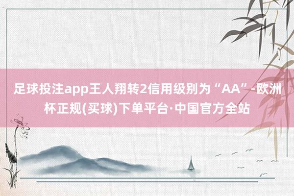 足球投注app王人翔转2信用级别为“AA”-欧洲杯正规(买球)下单平台·中国官方全站