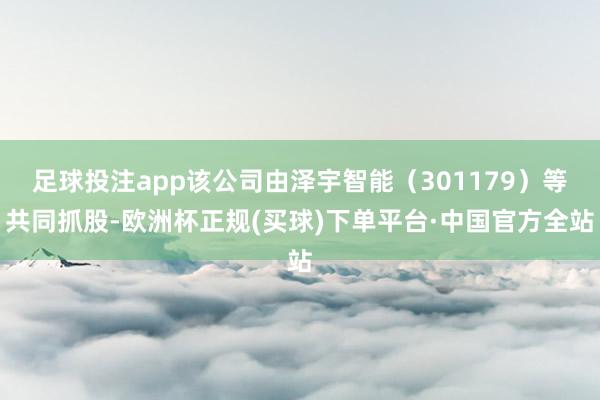 足球投注app该公司由泽宇智能（301179）等共同抓股-欧洲杯正规(买球)下单平台·中国官方全站