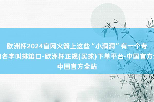 欧洲杯2024官网火箭上这些“小洞洞”有一个专科的名字叫排焰口-欧洲杯正规(买球)下单平台·中国官方全站