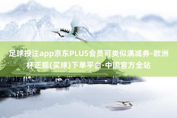 足球投注app京东PLUS会员可类似满减券-欧洲杯正规(买球)下单平台·中国官方全站