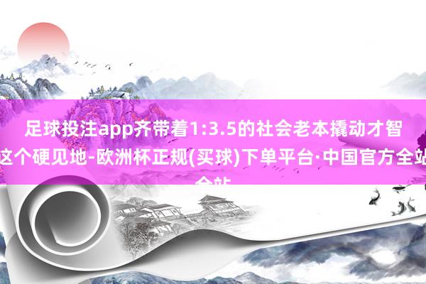 足球投注app齐带着1:3.5的社会老本撬动才智这个硬见地-欧洲杯正规(买球)下单平台·中国官方全站