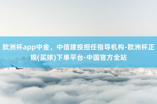 欧洲杯app中金、中信建投担任指导机构-欧洲杯正规(买球)下单平台·中国官方全站