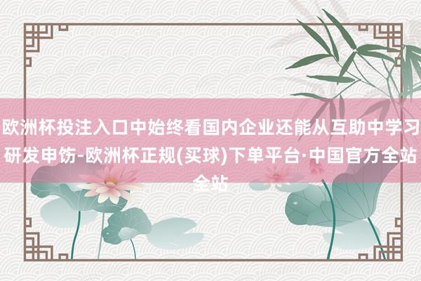 欧洲杯投注入口中始终看国内企业还能从互助中学习研发申饬-欧洲杯正规(买球)下单平台·中国官方全站