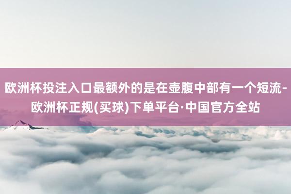 欧洲杯投注入口最额外的是在壶腹中部有一个短流-欧洲杯正规(买球)下单平台·中国官方全站