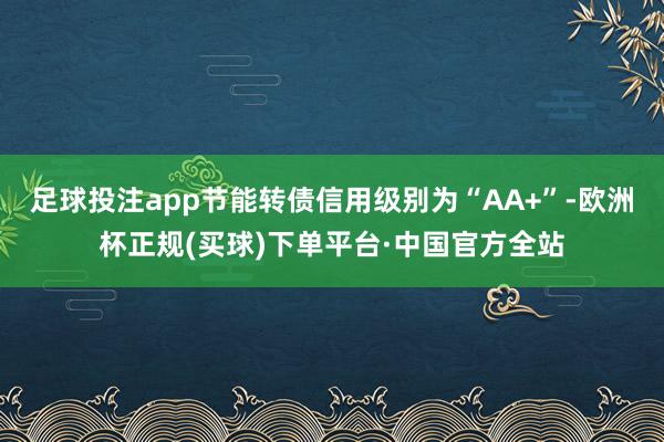 足球投注app节能转债信用级别为“AA+”-欧洲杯正规(买球)下单平台·中国官方全站
