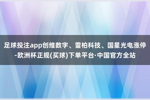 足球投注app创维数字、雷柏科技、国星光电涨停-欧洲杯正规(买球)下单平台·中国官方全站