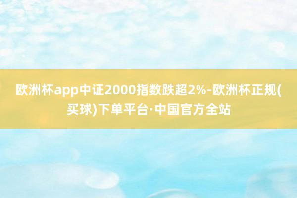 欧洲杯app中证2000指数跌超2%-欧洲杯正规(买球)下单平台·中国官方全站