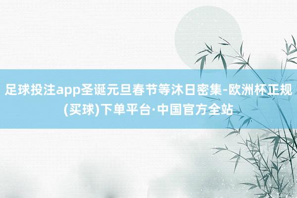 足球投注app圣诞元旦春节等沐日密集-欧洲杯正规(买球)下单平台·中国官方全站