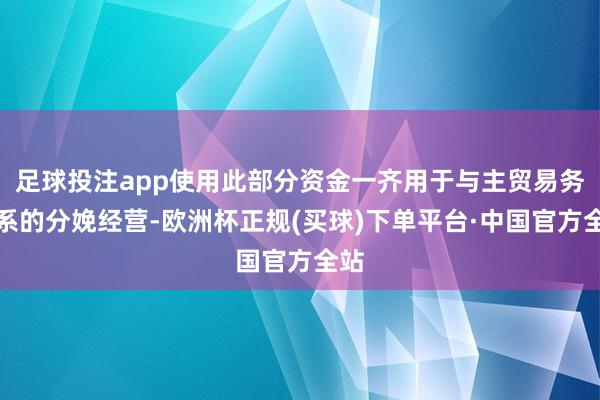 足球投注app使用此部分资金一齐用于与主贸易务关系的分娩经营-欧洲杯正规(买球)下单平台·中国官方全站