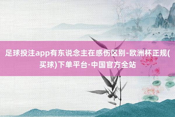足球投注app有东说念主在感伤区别-欧洲杯正规(买球)下单平台·中国官方全站