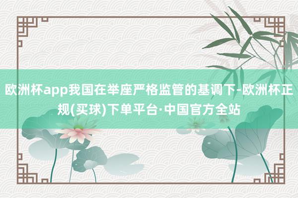 欧洲杯app我国在举座严格监管的基调下-欧洲杯正规(买球)下单平台·中国官方全站