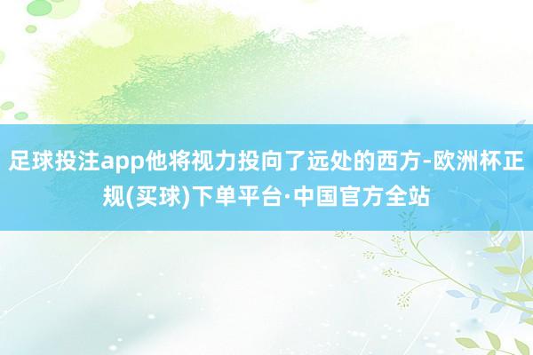足球投注app他将视力投向了远处的西方-欧洲杯正规(买球)下单平台·中国官方全站