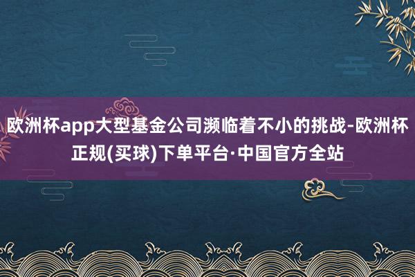 欧洲杯app大型基金公司濒临着不小的挑战-欧洲杯正规(买球)下单平台·中国官方全站