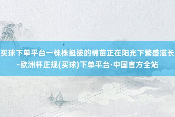 买球下单平台一株株挺拔的棉苗正在阳光下繁盛滋长-欧洲杯正规(买球)下单平台·中国官方全站