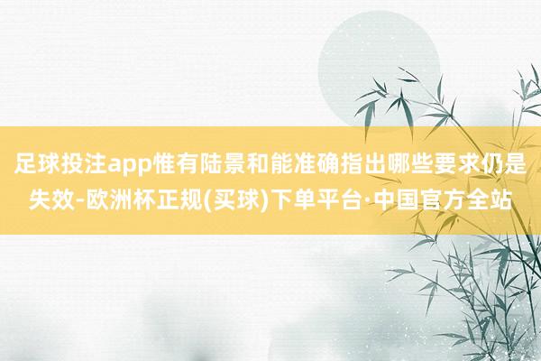 足球投注app惟有陆景和能准确指出哪些要求仍是失效-欧洲杯正规(买球)下单平台·中国官方全站