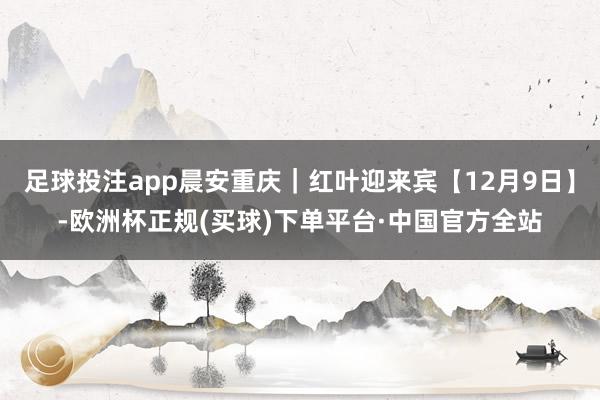 足球投注app晨安重庆｜红叶迎来宾【12月9日】-欧洲杯正规(买球)下单平台·中国官方全站